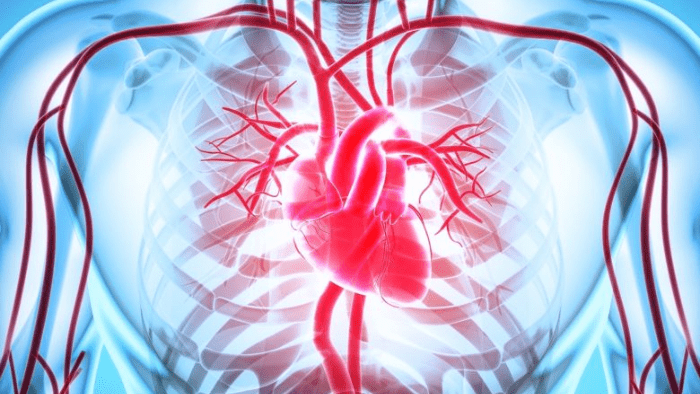 Consulta tu presión arterial en el móvil, con Samsung y Apple Watch