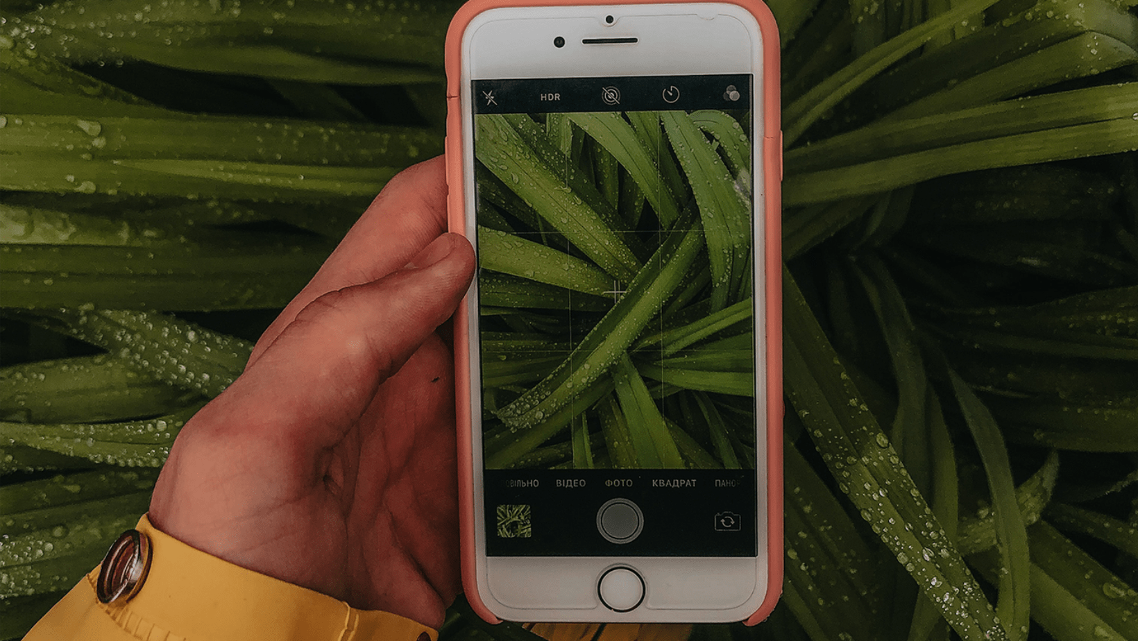 aplicativos para identificar plantas