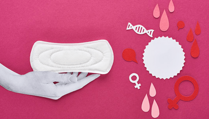 Menstrual cycle: what it is and how it works