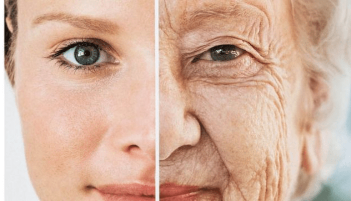 Veja os melhores aplicativos do momento para envelhecer o rosto