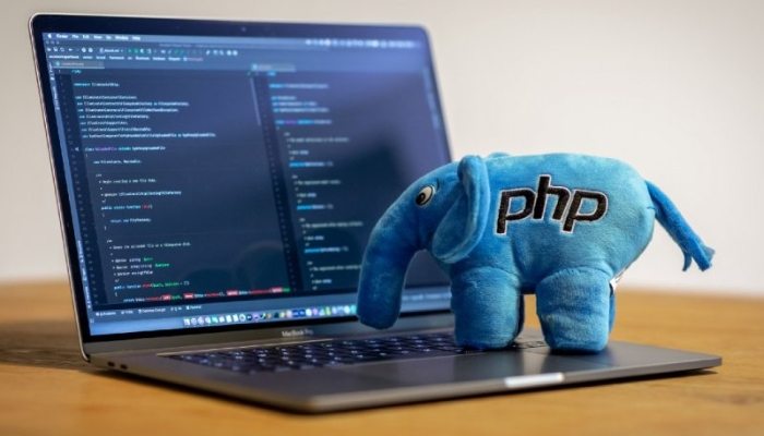 Desenvolvedor PHP: empregos de alta demanda e como se destacar