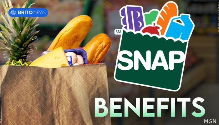 Renovação do SNAP em 2025: Passo a Passo para Não Perder