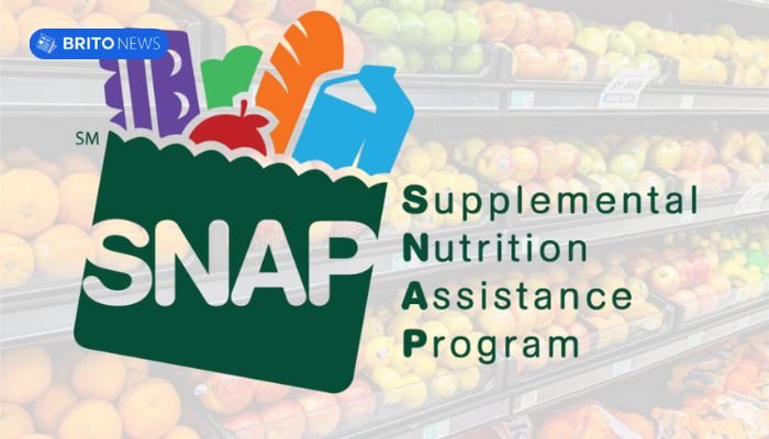 Common Problems with SNAP Online Registration and Solve Them Now