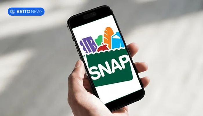 SNAP Renewal in 2025: Step by Step to Avoid Missing Out