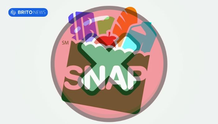 Problemas Comuns no Cadastro do SNAP Online e Resolva agora