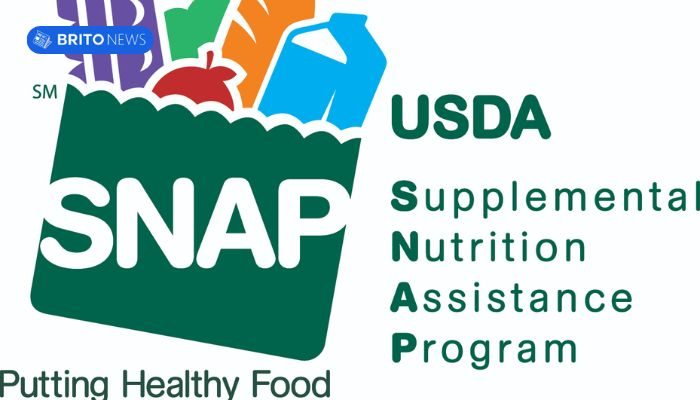 Problemas Comuns no Cadastro do SNAP Online e Resolva agora